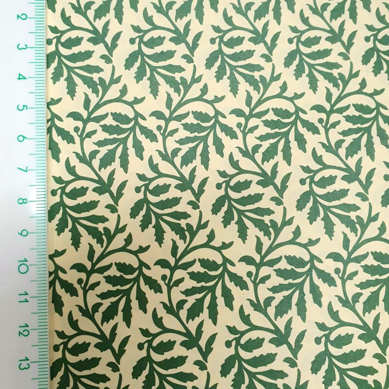 Carta Varese - Confezione da 5 fogli di carta Varese misura 100x70cm, peso carta: 100 g/mq. Felci verdi - 31FELCIVER