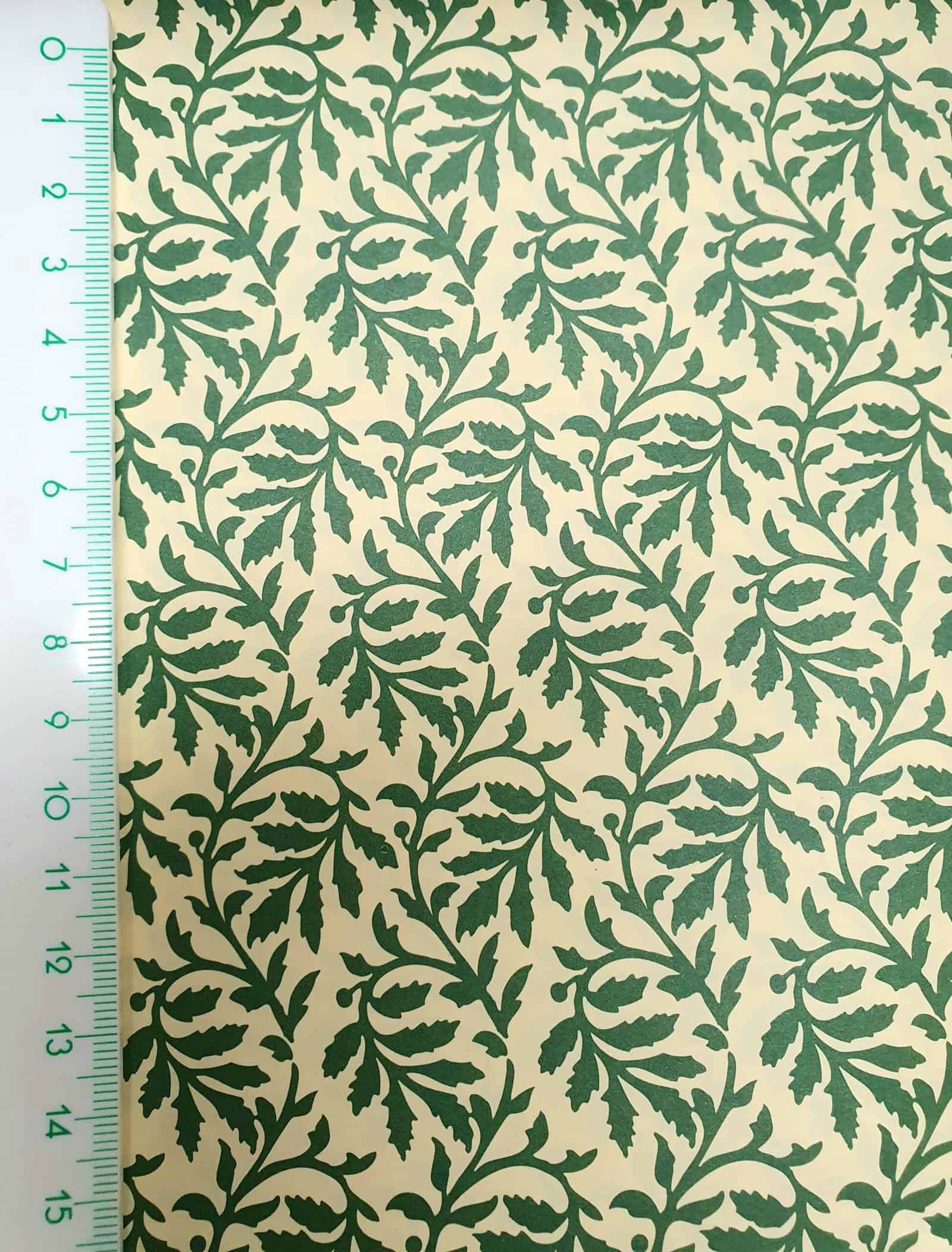 Carta Varese - Confezione da 5 fogli di carta Varese misura 100x70cm, peso carta: 100 g/mq. Felci verdi - 31FELCIVER